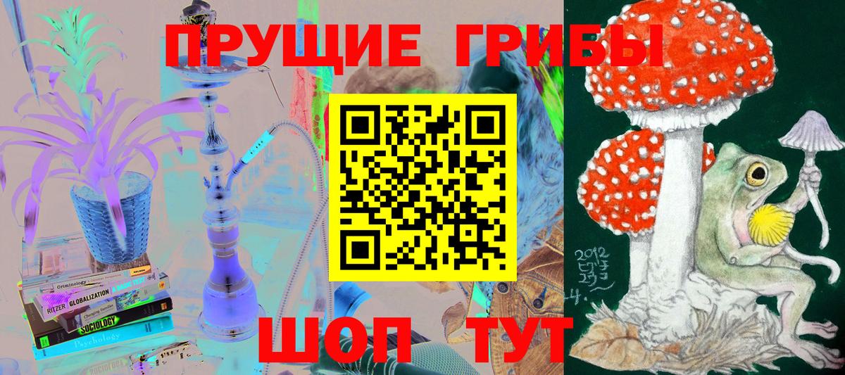 Псилоцибиновые грибы прущие грибы Обь
