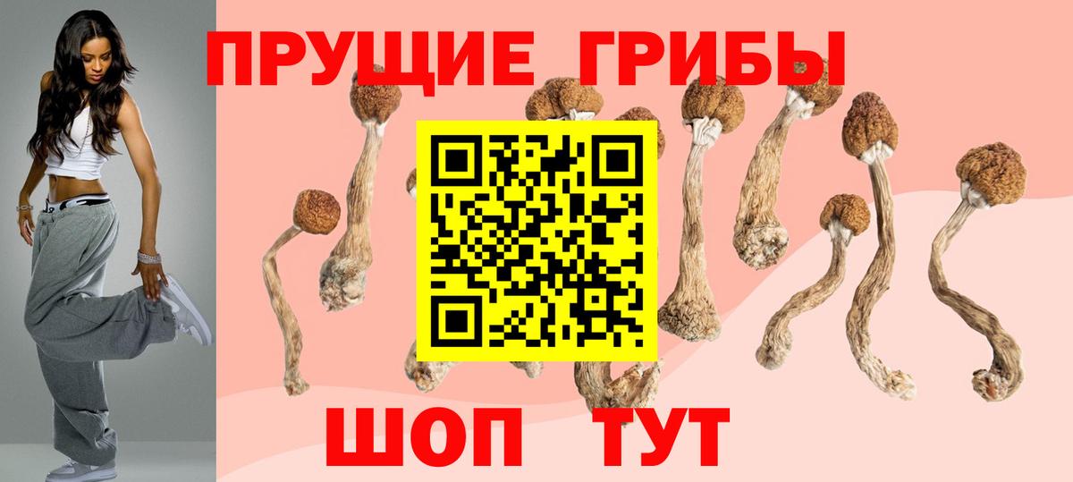Псилоцибиновые грибы GOLDEN TEACHER  Вход с VPN  Обь 